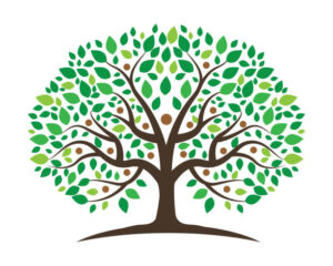 arbre familiar 1